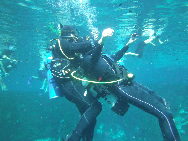 Dayo Scuba Center LLC, Orlando Florida www.dayo.com