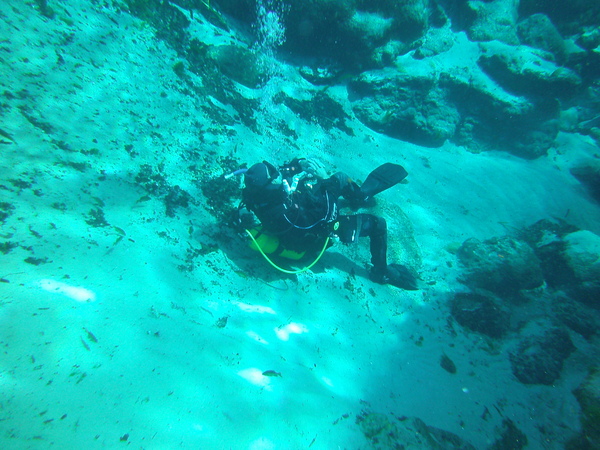 Dayo Scuba Center LLC, Orlando Florida www.dayo.com