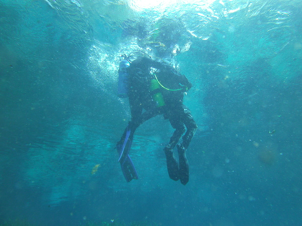 Dayo Scuba Center LLC, Orlando Florida www.dayo.com