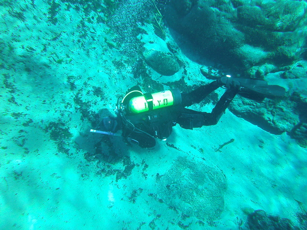 Dayo Scuba Center LLC, Orlando Florida www.dayo.com