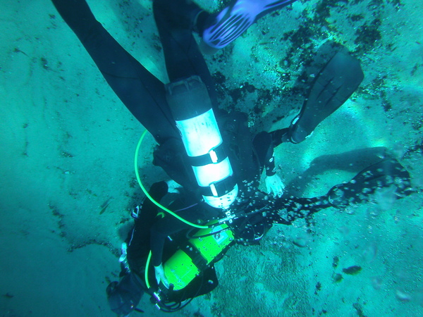 Dayo Scuba Center LLC, Orlando Florida www.dayo.com