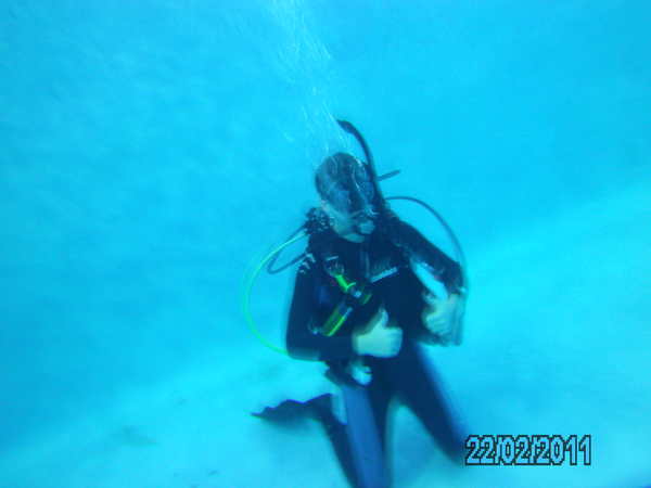 Dayo Scuba Center LLC, Orlando Florida www.dayo.com