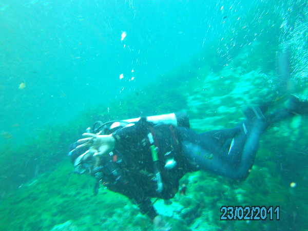 Dayo Scuba Center LLC, Orlando Florida www.dayo.com