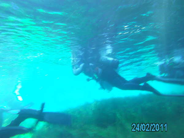 Dayo Scuba Center LLC, Orlando Florida www.dayo.com