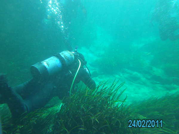 Dayo Scuba Center LLC, Orlando Florida www.dayo.com