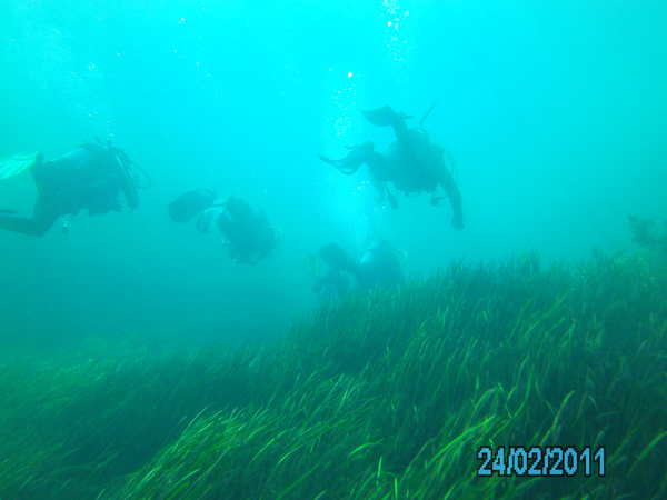 Dayo Scuba Center LLC, Orlando Florida www.dayo.com