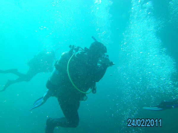 Dayo Scuba Center LLC, Orlando Florida www.dayo.com