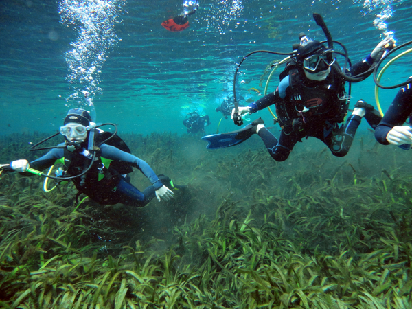 Dayo Scuba Center LLC, Orlando Florida www.dayo.com