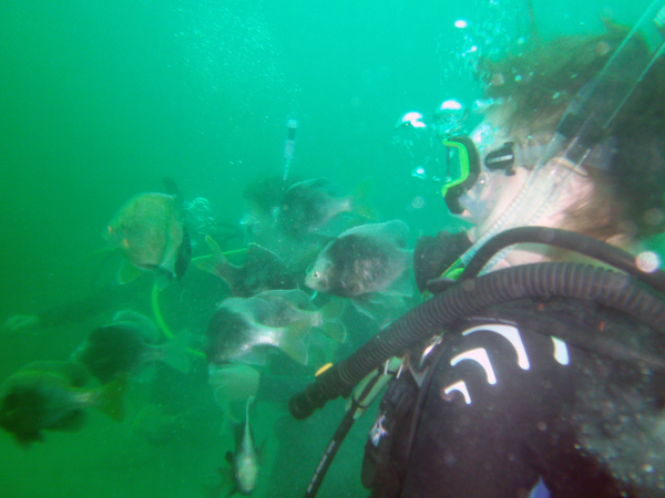 Dayo Scuba Center LLC, Orlando Florida www.dayo.com
