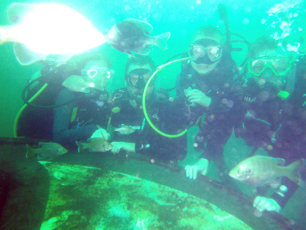 Dayo Scuba Center LLC, Orlando Florida www.dayo.com