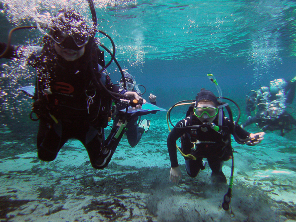 Dayo Scuba Center LLC, Orlando Florida www.dayo.com