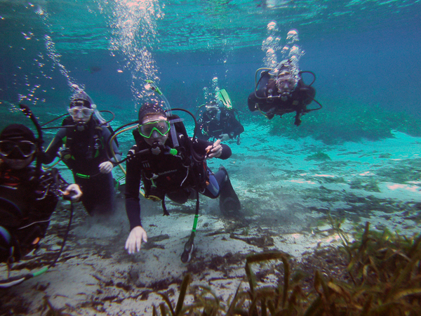 Dayo Scuba Center LLC, Orlando Florida www.dayo.com
