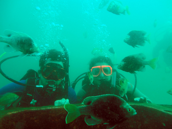 Dayo Scuba Center LLC, Orlando Florida www.dayo.com