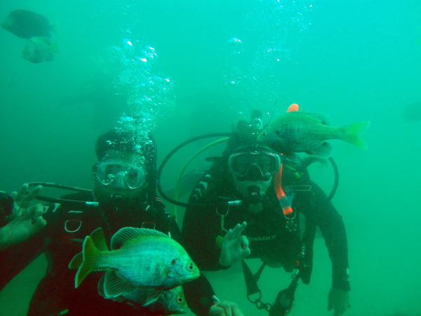 Dayo Scuba Center LLC, Orlando Florida www.dayo.com