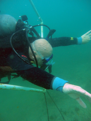 Dayo Scuba Center LLC, Orlando Florida www.dayo.com