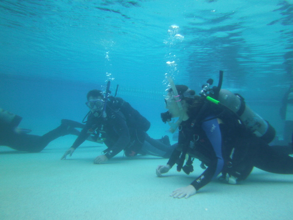 Dayo Scuba Center LLC, Orlando Florida www.dayo.com