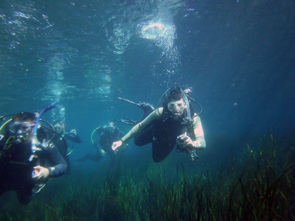 Dayo Scuba Center LLC, Orlando Florida www.dayo.com