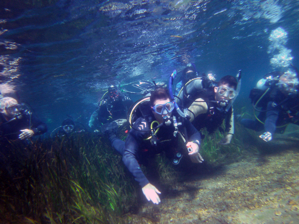 Dayo Scuba Center LLC, Orlando Florida www.dayo.com