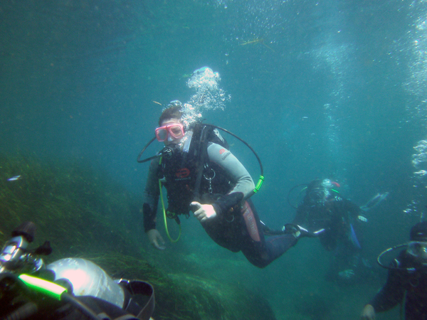 Dayo Scuba Center LLC, Orlando Florida www.dayo.com