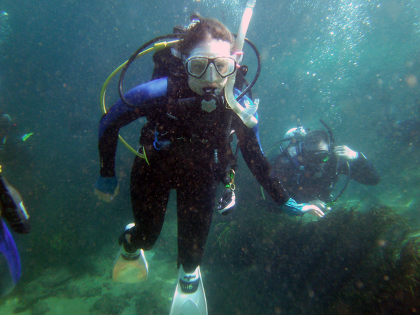 Dayo Scuba Center LLC, Orlando Florida www.dayo.com