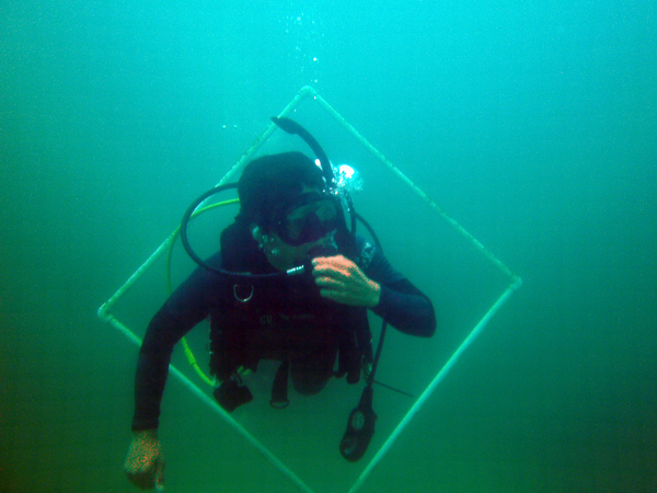 Dayo Scuba Center LLC, Orlando Florida www.dayo.com