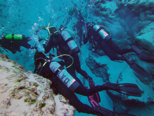 Dayo Scuba Center LLC, Orlando Florida www.dayo.com