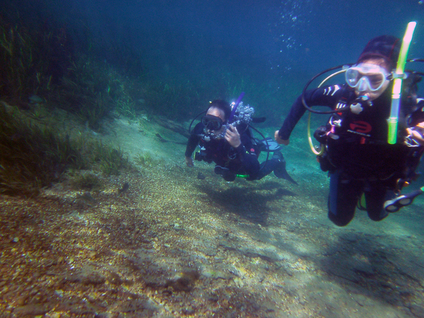 Dayo Scuba Center LLC, Orlando Florida www.dayo.com
