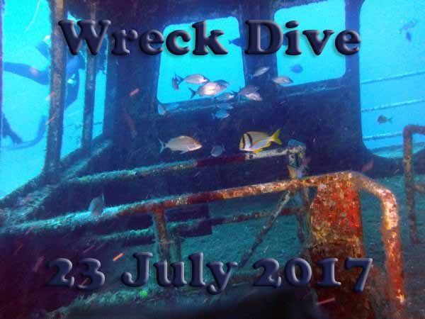Dayo Scuba Center LLC, Orlando Florida www.dayo.com