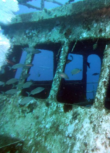 Dayo Scuba Center LLC, Orlando Florida www.dayo.com