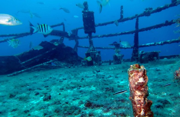Dayo Scuba Center LLC, Orlando Florida www.dayo.com
