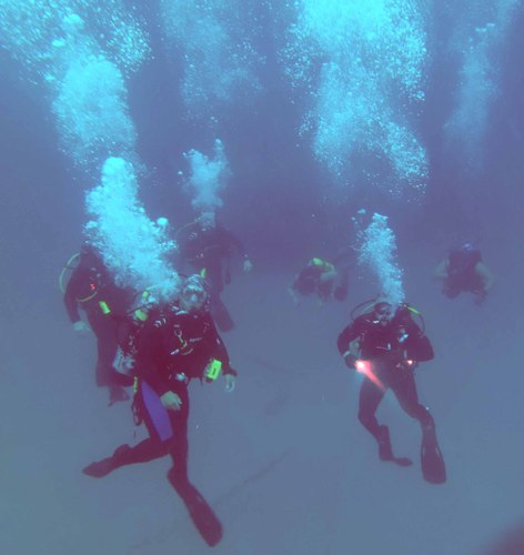 Dayo Scuba Center LLC, Orlando Florida www.dayo.com