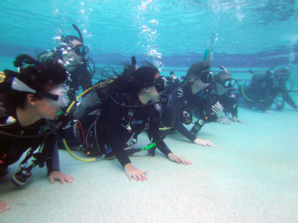 Dayo Scuba Center LLC, Orlando Florida www.dayo.com