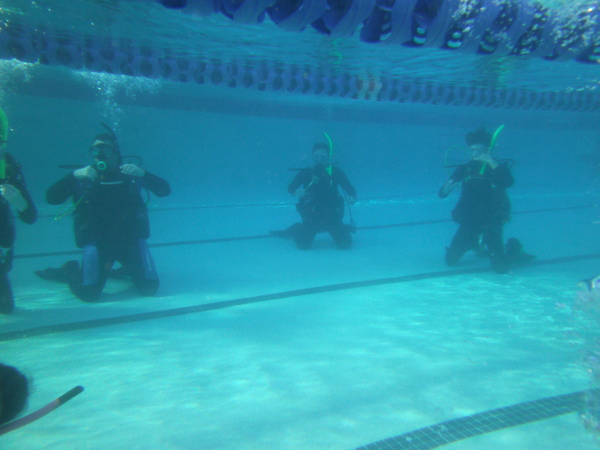 Dayo Scuba Center LLC, Orlando Florida www.dayo.com