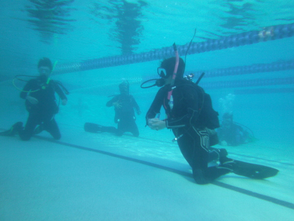 Dayo Scuba Center LLC, Orlando Florida www.dayo.com