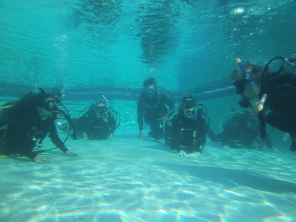 Dayo Scuba Center LLC, Orlando Florida www.dayo.com