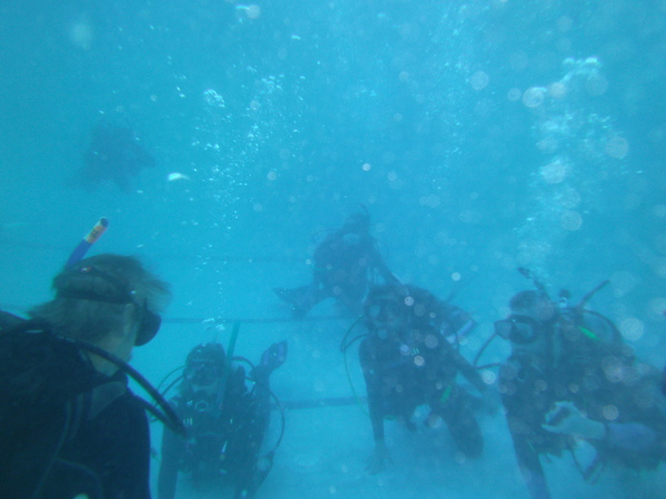 Dayo Scuba Center LLC, Orlando Florida www.dayo.com
