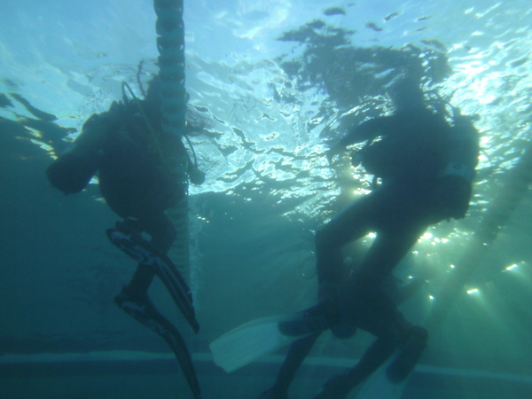 Dayo Scuba Center LLC, Orlando Florida www.dayo.com