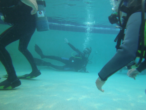 Dayo Scuba Center LLC, Orlando Florida www.dayo.com