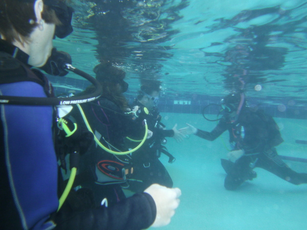 Dayo Scuba Center LLC, Orlando Florida www.dayo.com