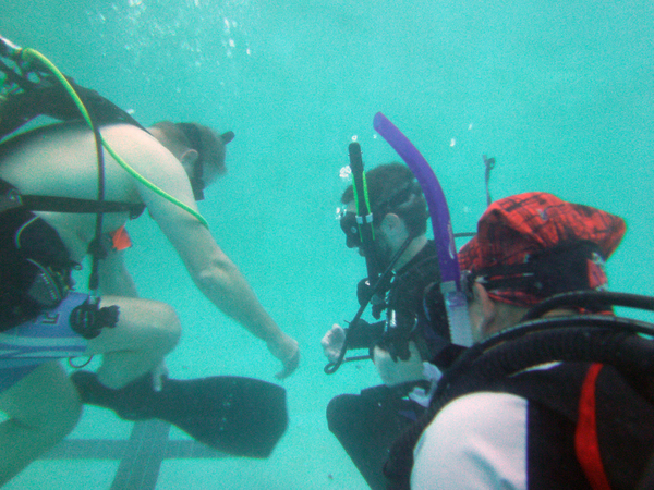 Dayo Scuba Center LLC, Orlando Florida www.dayo.com