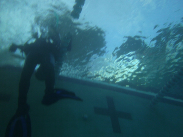Dayo Scuba Center LLC, Orlando Florida www.dayo.com