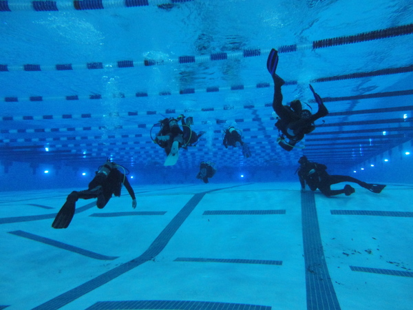 Dayo Scuba Center LLC, Orlando Florida www.dayo.com