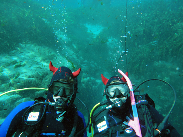 Dayo Scuba Center LLC, Orlando Florida www.dayo.com