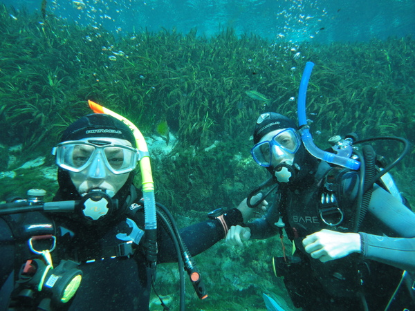 Dayo Scuba Center LLC, Orlando Florida www.dayo.com