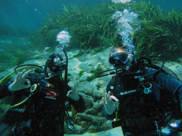 Dayo Scuba Center LLC, Orlando Florida www.dayo.com