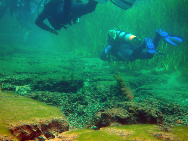 Dayo Scuba Center LLC, Orlando Florida www.dayo.com