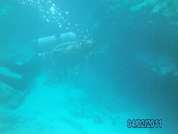 Dayo Scuba Center LLC, Orlando Florida www.dayo.com