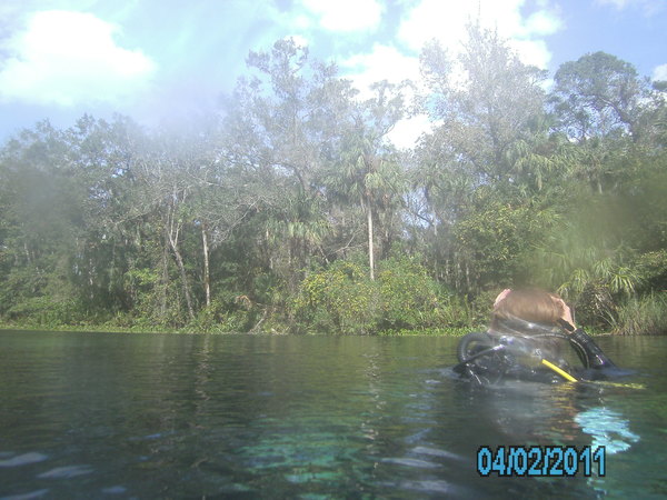 Dayo Scuba Center LLC, Orlando Florida www.dayo.com
