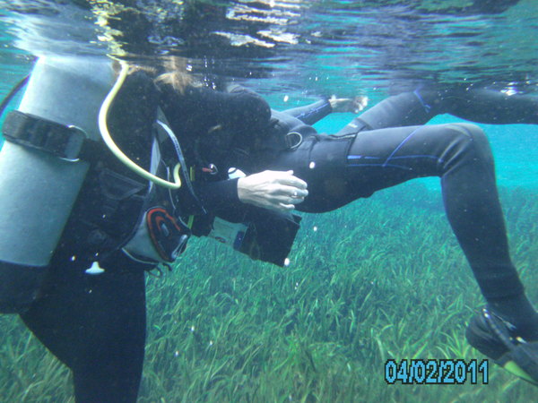 Dayo Scuba Center LLC, Orlando Florida www.dayo.com
