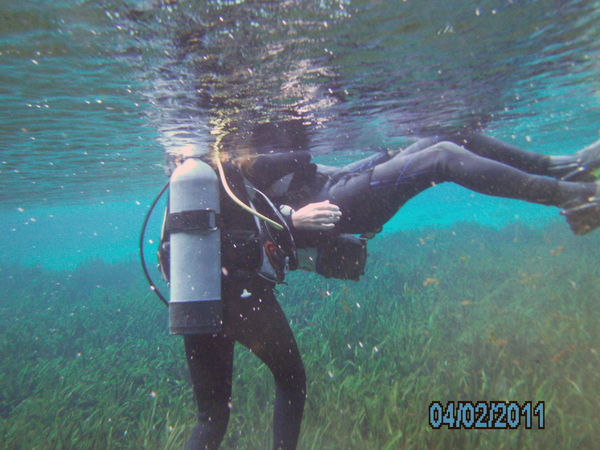 Dayo Scuba Center LLC, Orlando Florida www.dayo.com